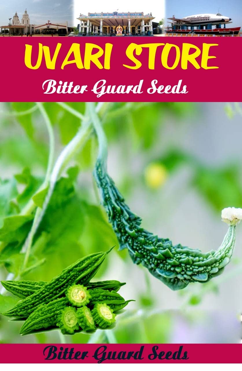 UVARI, Bitter Guard Seeds - 50 seeds