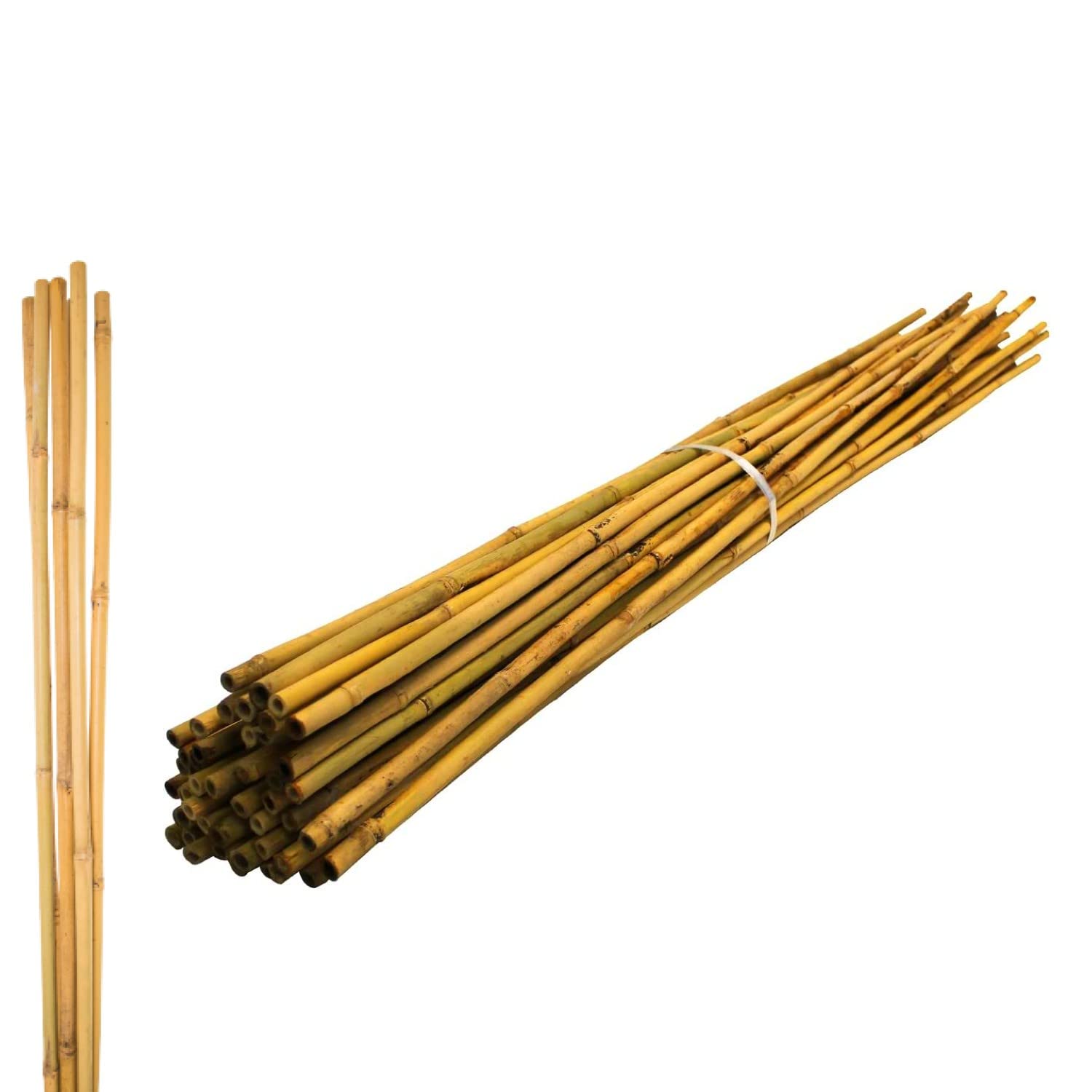 Strong Bamboo Garden Canes Heavy Duty Professional Gardening Stakes Climbing Plants Support Trellises Poles Natural Sticks Indoor Outdoor 4FT (50, Bamboo)