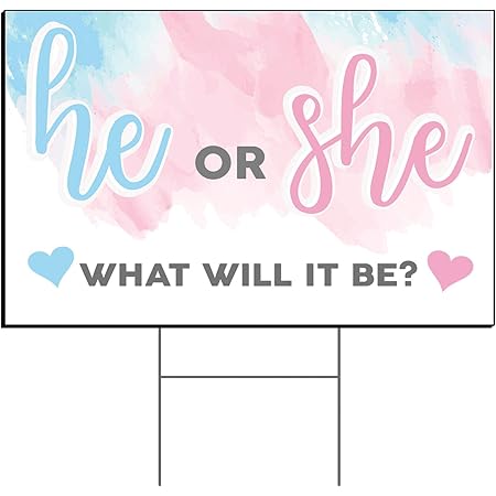 Petite Gender Reveal He Or She What Will It Be Banner Alternating Pink And Blue Letters He Or She What Will It Be Sign Jute Twine Party Supplies Paper Party Supplies