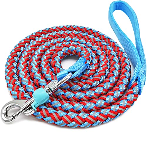 The 10 Best Heavy Duty Dog Leashes For Strong Pups Who Pull!