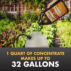 Spectracide-32oz-Malathion-Insect-Spray-Cutter-32fl-oz-Backyard-Bug-Control-Mosquito-Repellent-Spray - Cucciolini Doodles   Spectracide-32oz-Malathion-Insect-Spray-Cutter-32fl-oz-Backyard-Bug-Control-Mosquito-Repellent-Spray
