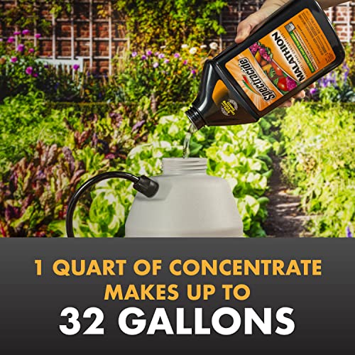 Spectracide-32oz-Malathion-Insect-Spray-Cutter-32fl-oz-Backyard-Bug-Control-Mosquito-Repellent-Spray - Cucciolini Doodles   Spectracide-32oz-Malathion-Insect-Spray-Cutter-32fl-oz-Backyard-Bug-Control-Mosquito-Repellent-Spray