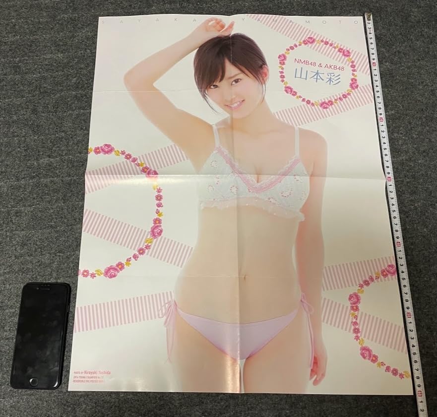 Amazon.co.jp: 山本彩 Reversible 両面Bigポスター - ヤング