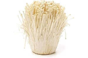 Enoki Mushroom Spawn Plugs for Gourmet Cultivation
