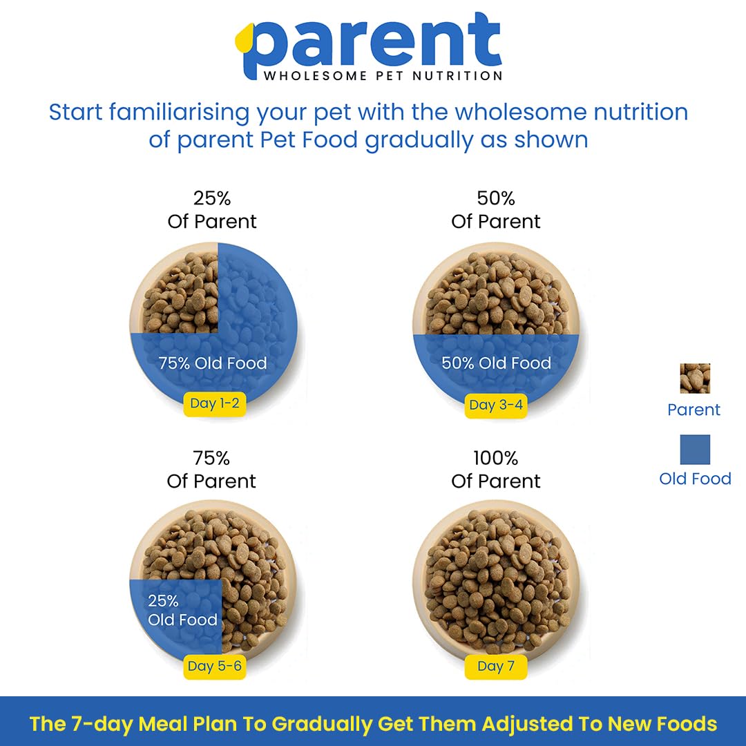 Parent Premium Dry Dog Food for Senior Dogs 7+ Years| Complete Nutrition for Aging Dogs | Supports Joint Health, Immunity & Digestion | All Breeds & Sizes, Free 300g 1
