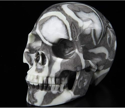 Skullis Cráneo de cristal fósil raro de 2.0 pulgadas, escultura de arte fino de piedras preciosas talladas a mano, estatua de piedra curativa de