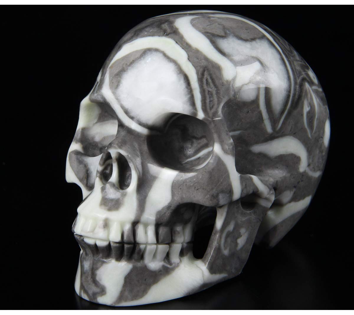 5.0" Rare Fossil Crystal Skull, Hand Carved Gemstone Fine Art Sculpture, Reiki Healing Stone Statue.