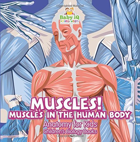 Muscles! Muscles in the Human Body -Anatomy for Kids - Children's ...