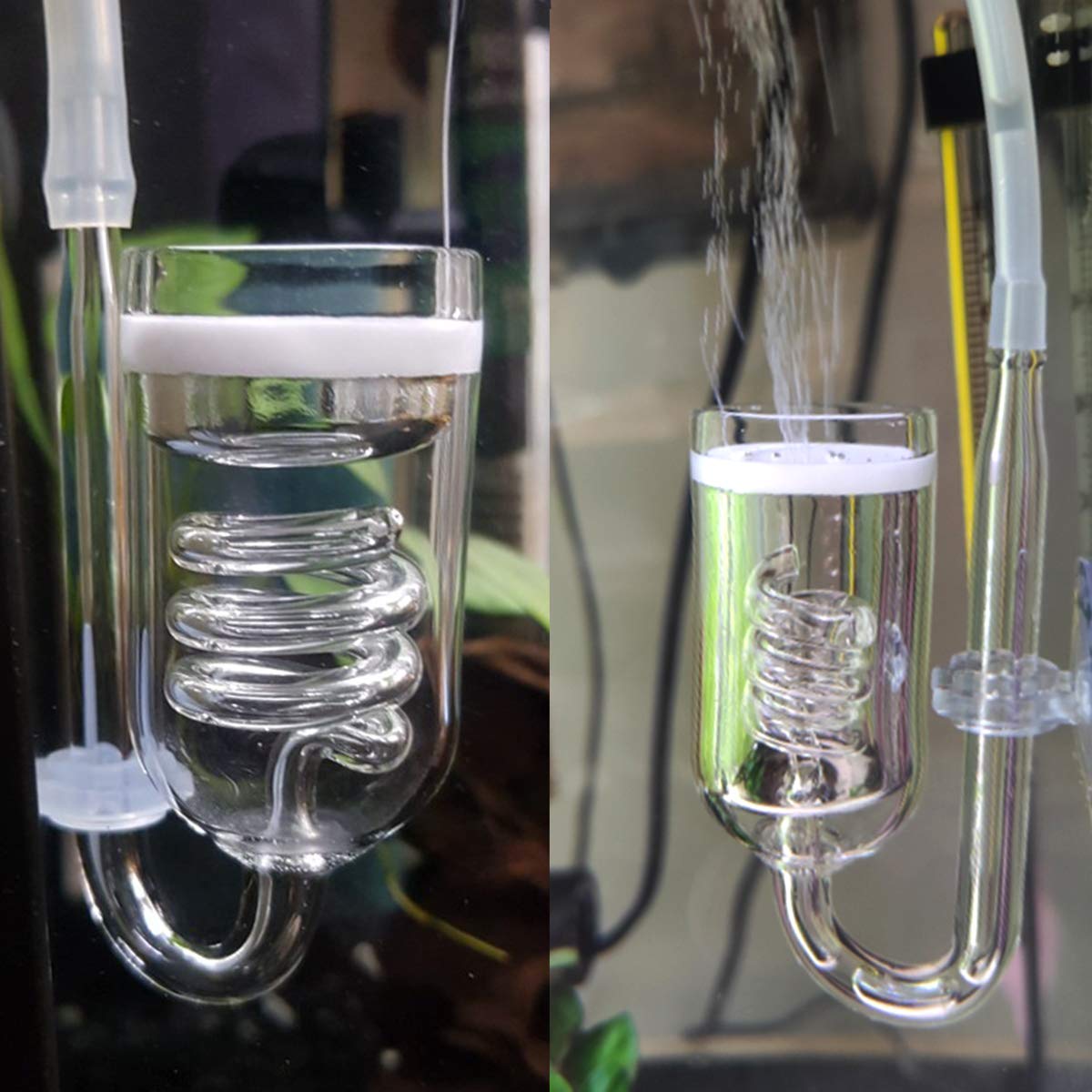 CO2 Diffuseur Gazon Aquarium Verre Spirale CO2 Atomiseur Diffuseur Bulle Compteur Vérifier avec Ventouse pour Aquarium Planté Fish Tank Accessoires