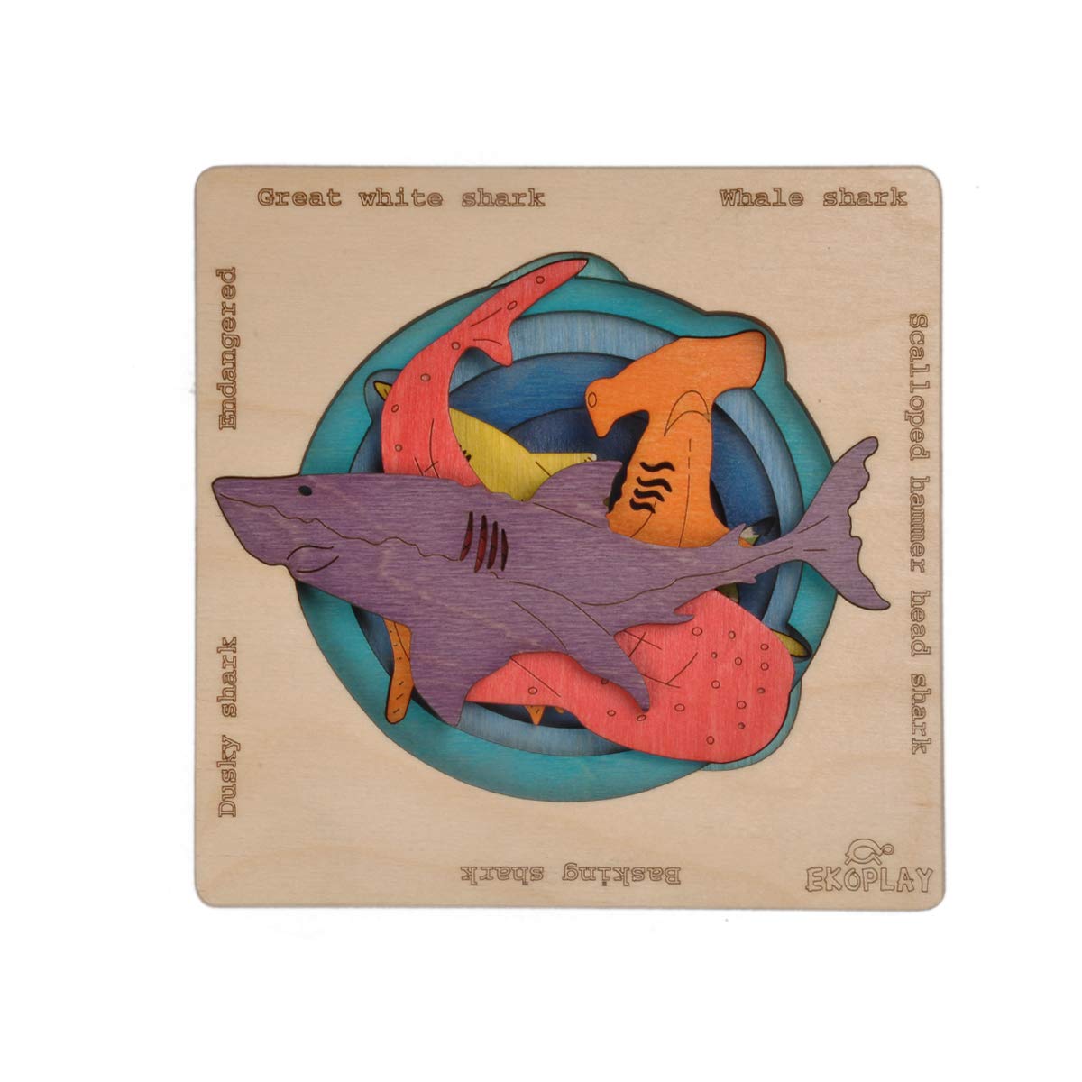 Endangered Sharks | Multilayered Wooden Jigsaw Puzzles for Kids | Hammerhead, Great White Shark, Whale Shark, Dusky Shark, Basking Shark | Learning Toy & Gift for Boys Girls Ages 3 Years and Above