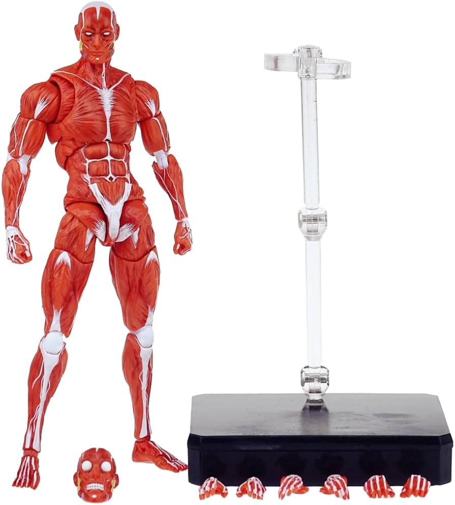 Amazon.co.jp: KEEPGOING Studio Human Muscle Model Red 1/12 Scale