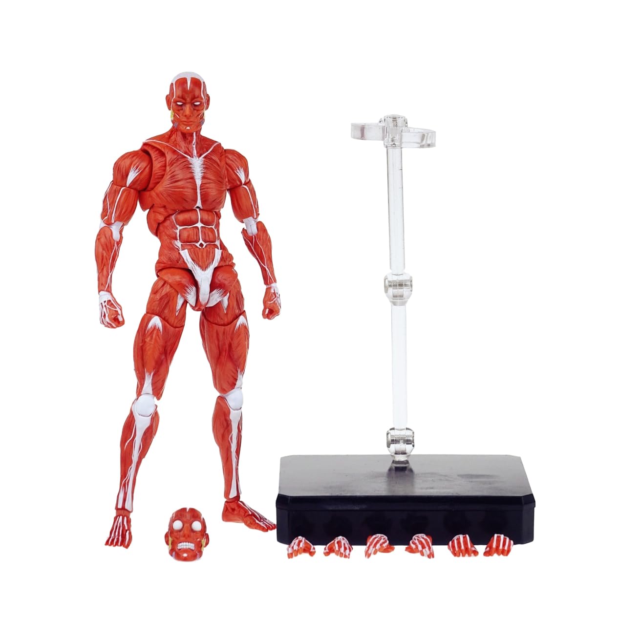 BODYMAKER 筋肉フィギュア ダンベル 2025年最新】ボディーメーカーフィギュアの人気アイテム - メルカリ