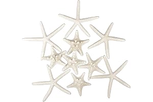Jangostor Starfish Decorations: Creative Touch for Home and Occasions