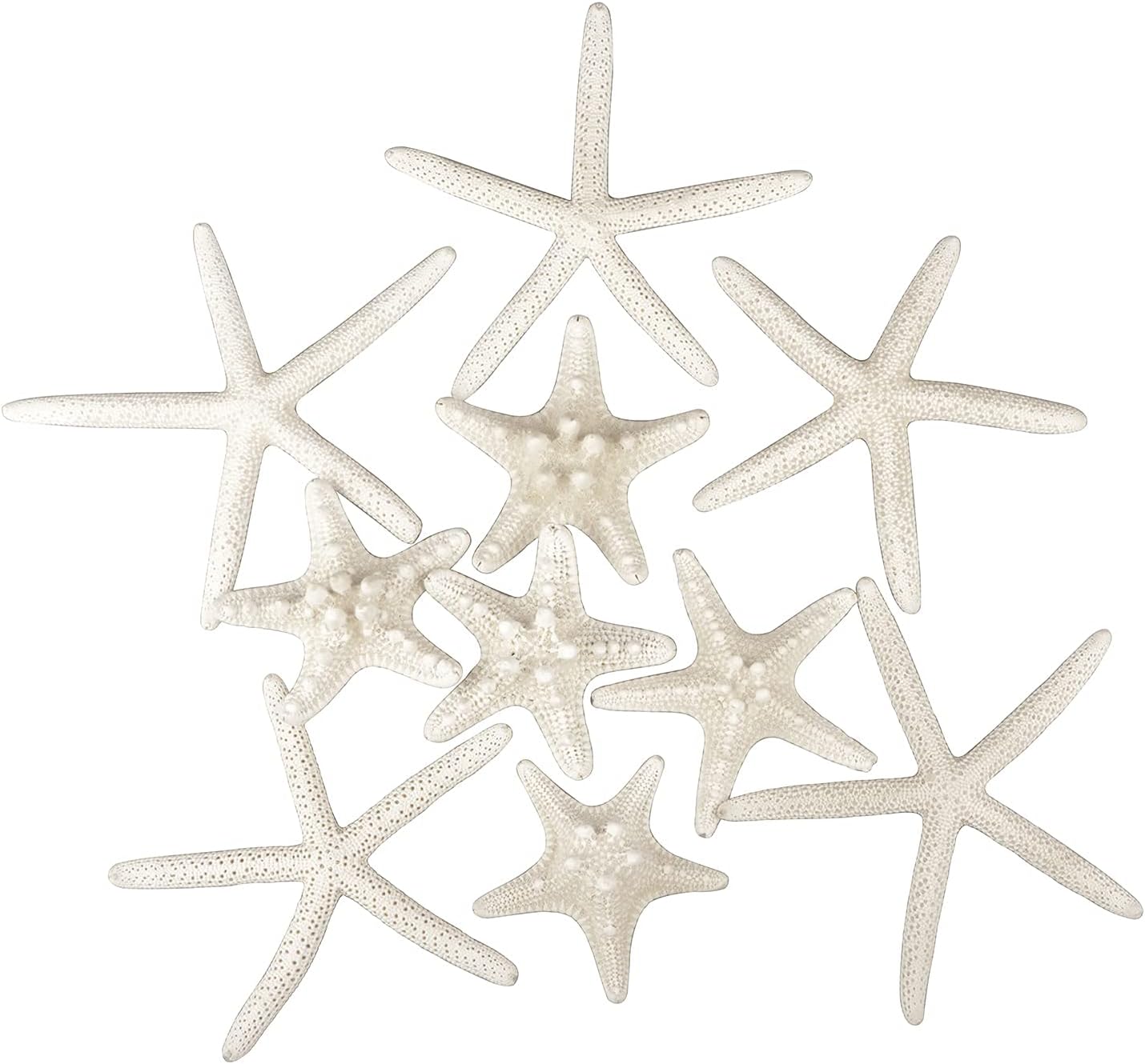 Jangostor 12 PCS Starfish 2-6 Inch Mixed Starfish Natural Seashells Starfish Star Fish Shells Decorations Perfect for Wedding Decor Beach Theme Party, Home Decorations, DIY Crafts, Fish Tank