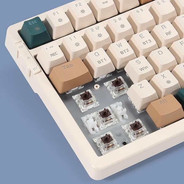 Merdia Mechanical Keyboard, Type-C Wired Connection, 2.4G 100 Keys Independent Key Switch, RGB Backlight, English Layout, ABS Material, For Mac & Win, Off Beige+Brown+Emerald Green(Brown Axis) - 3