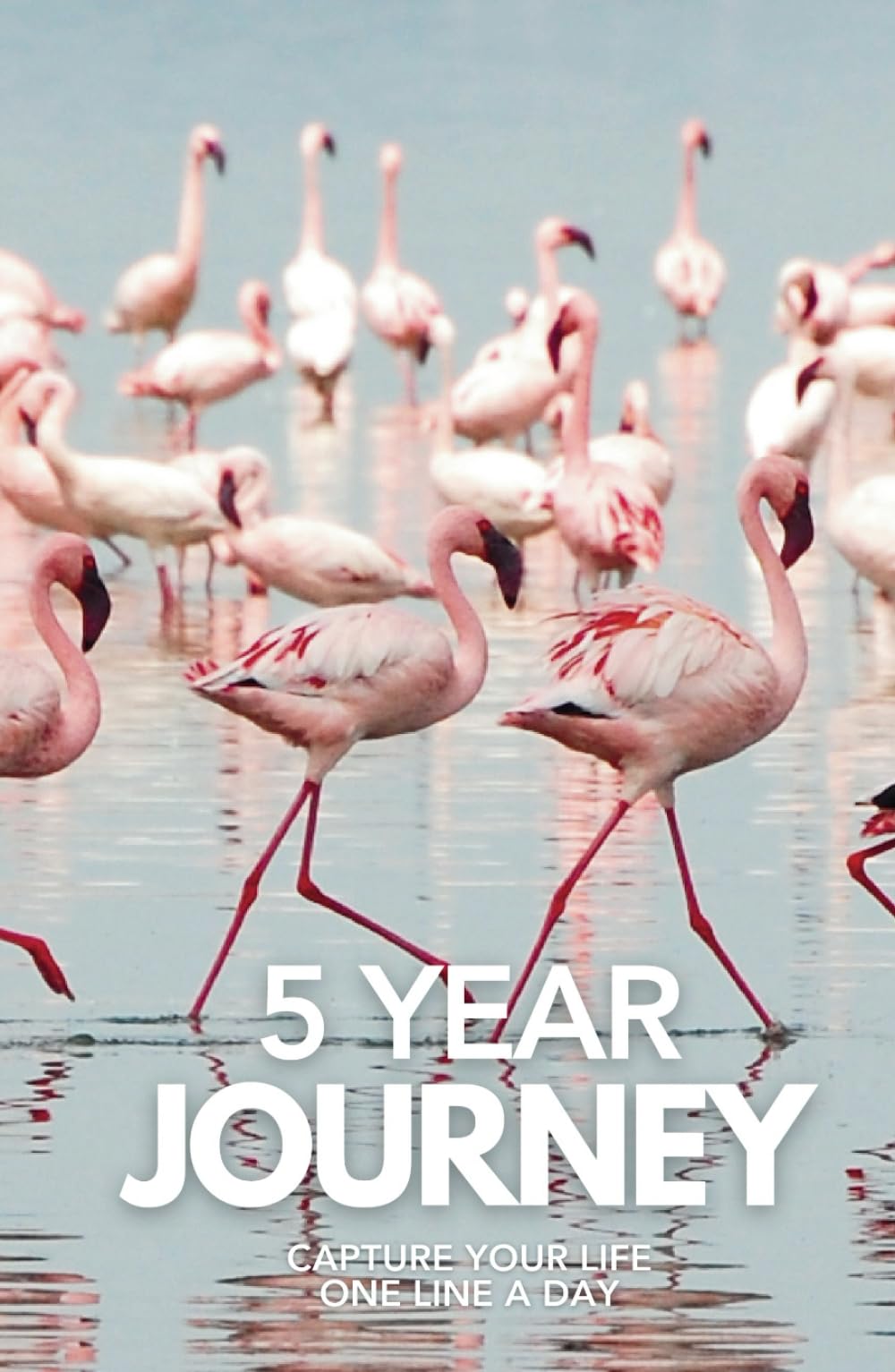 5 YEAR JOURNEY (Pink Flamingo): Capture Life One Line A Day