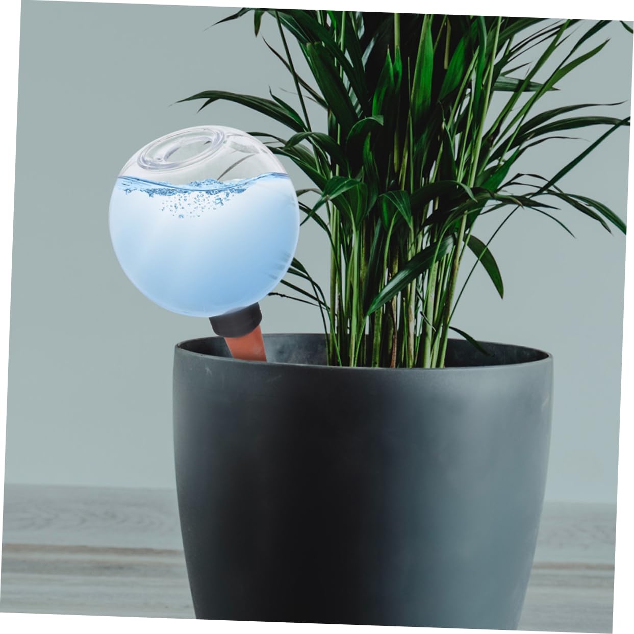 3 Ensembles Globe Arrosage Automatique pour Plantes Dintérieur Extérieur Système Auto Arrosage À Économique Et Durable Distributeur Eau pour Et Potager 2 Pièces * 3