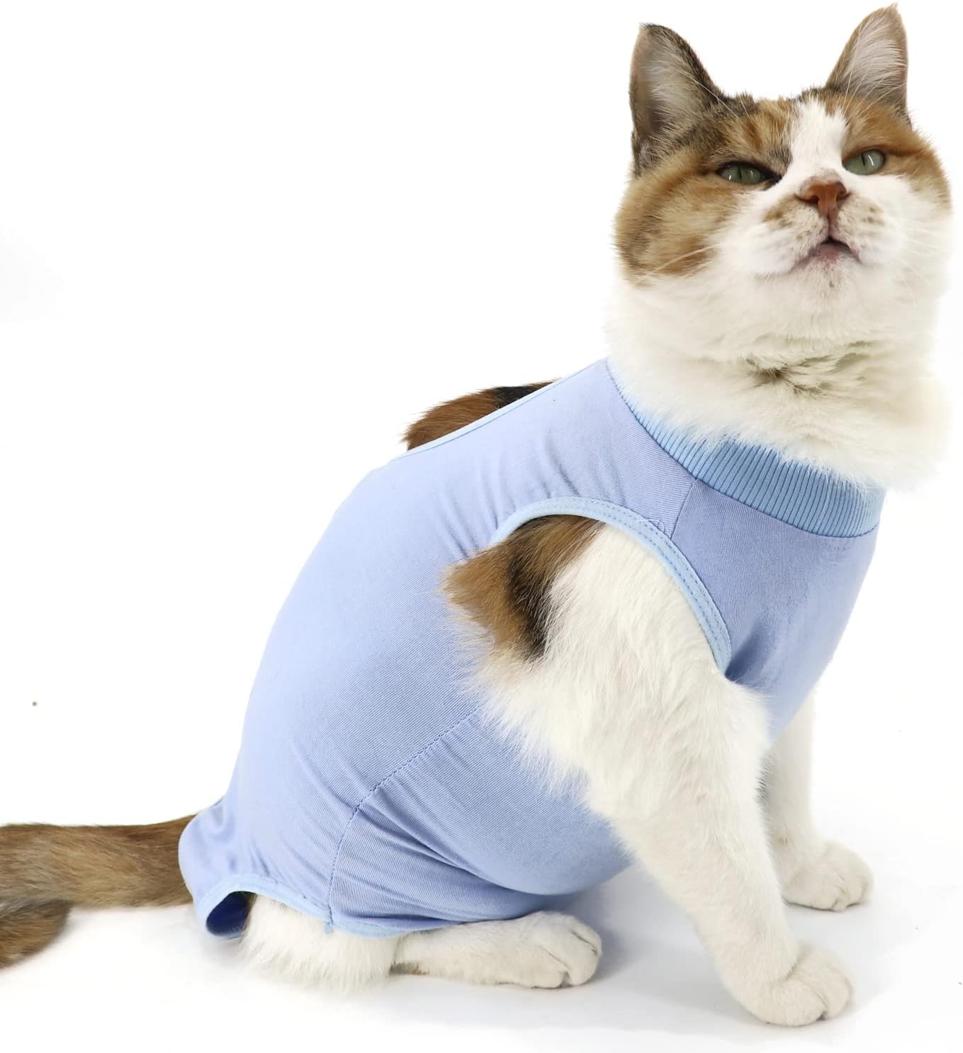 QIYADIN Cat Recovery Suit, Cat Surgical Recovery Suit for