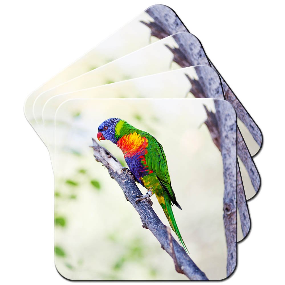 Magnificent Rainbow Coloured Lory Lories Coaster/Set of 4 Coasters