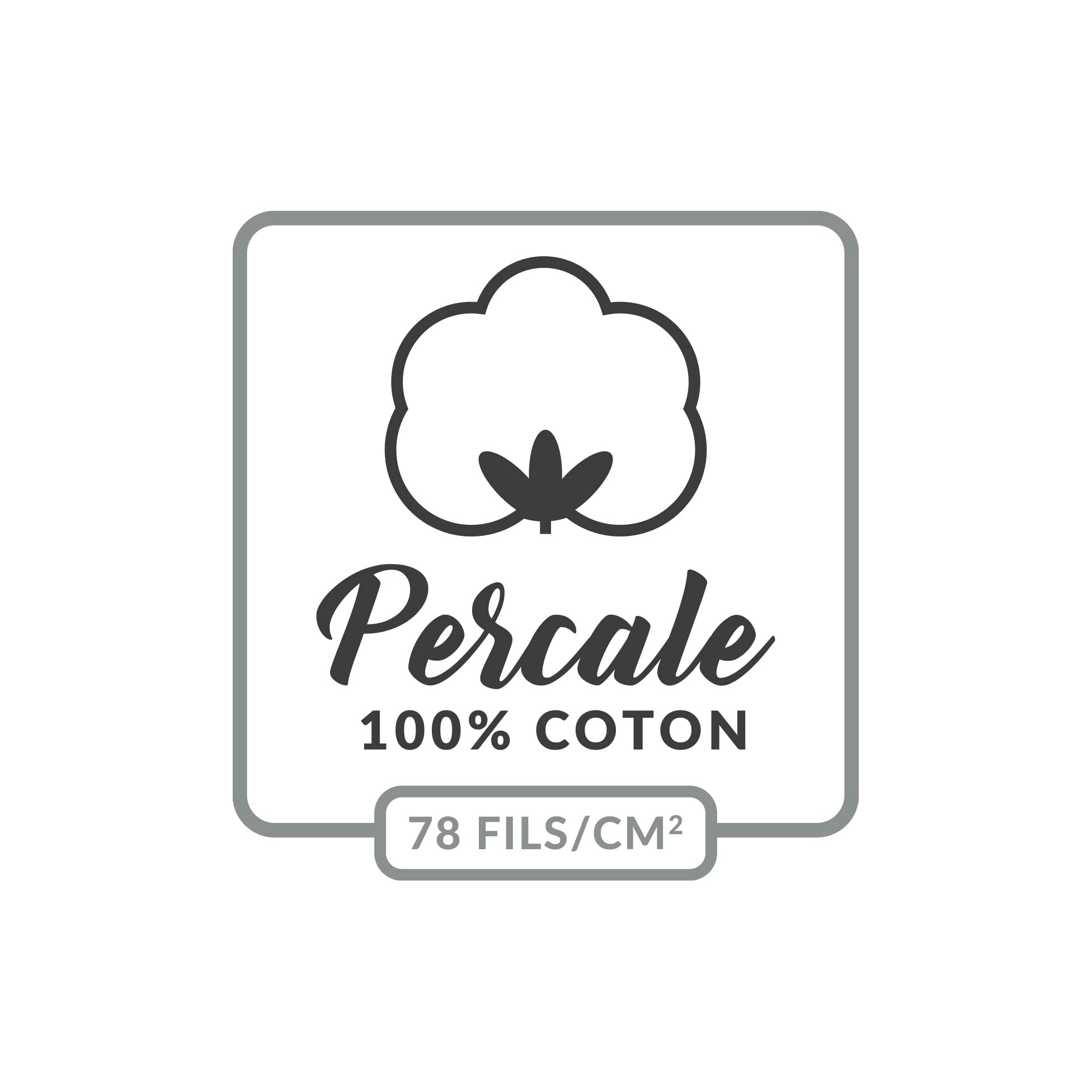 Douceur d'intérieur-drap plat 2 personnes 240x300 cm