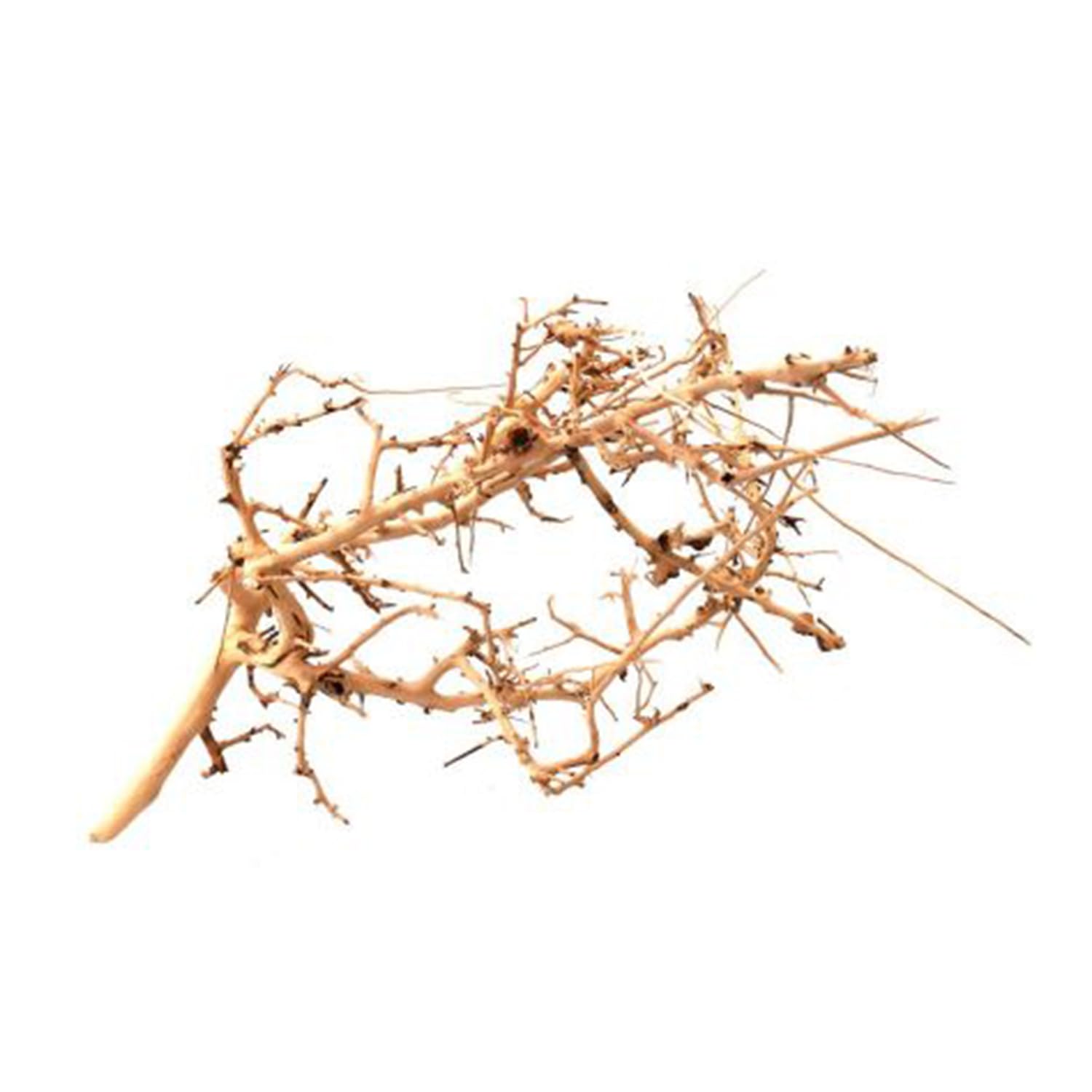 WabiFlur - Tiny Natural Wood for Aquarium Nano Garden and Terrariums - Recreates a Wild and Unique Ambinet, Size Medium Single Piece 15-20 cm