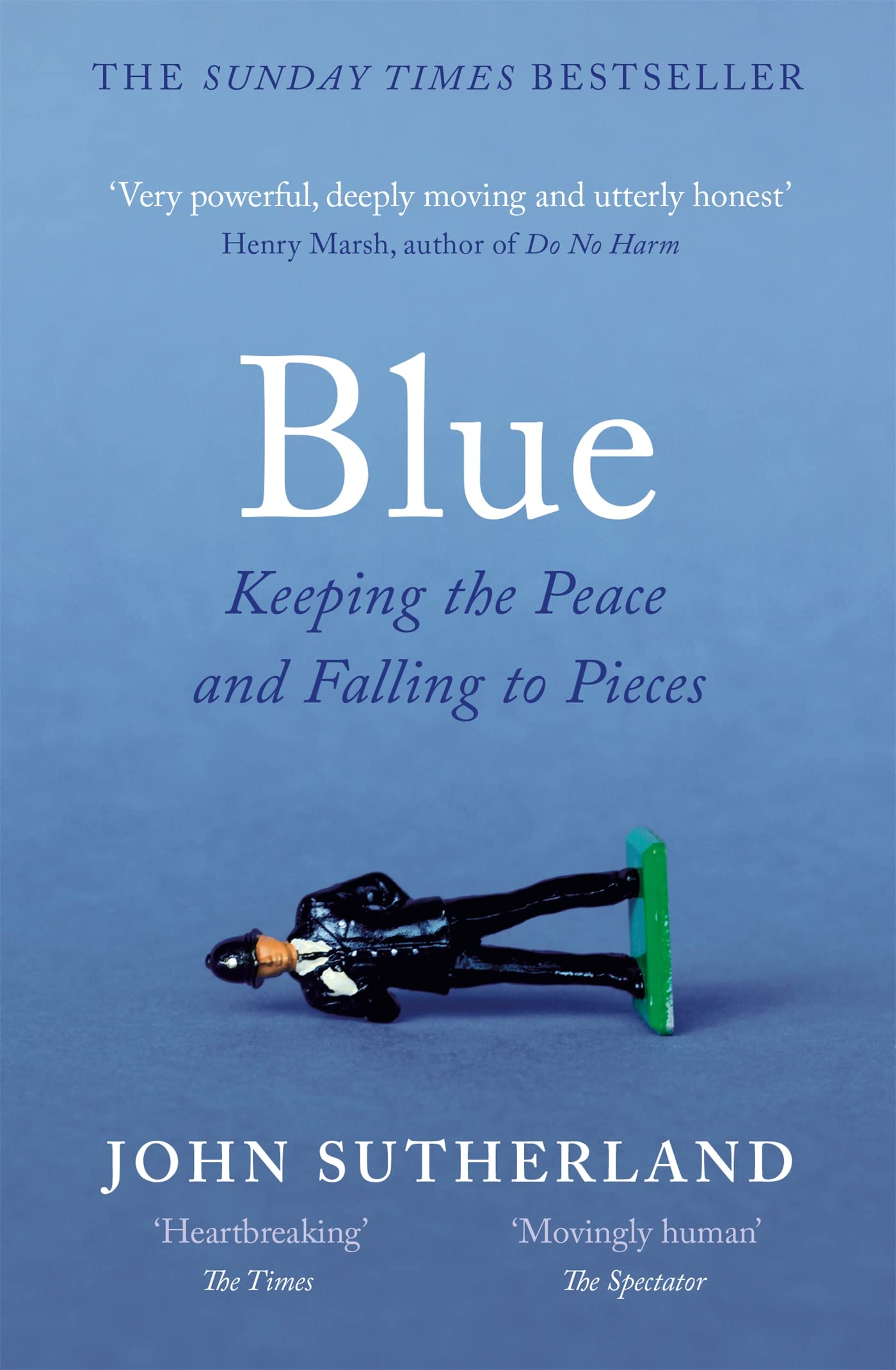 Blue by John Sutherland PAPERBACK 9781474606066
