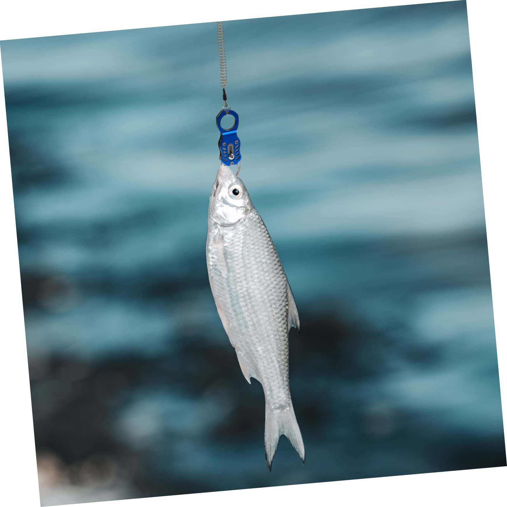 INOOMP 2 Pezzi Multiuso Gripper Gripper Grip Accessori Per Attrezzi Pesca Pesce Impugnature All'Aperto Per Conter In Acciaio Morsetto Labbro Multifunzione Forniture In Acciaio Kit
