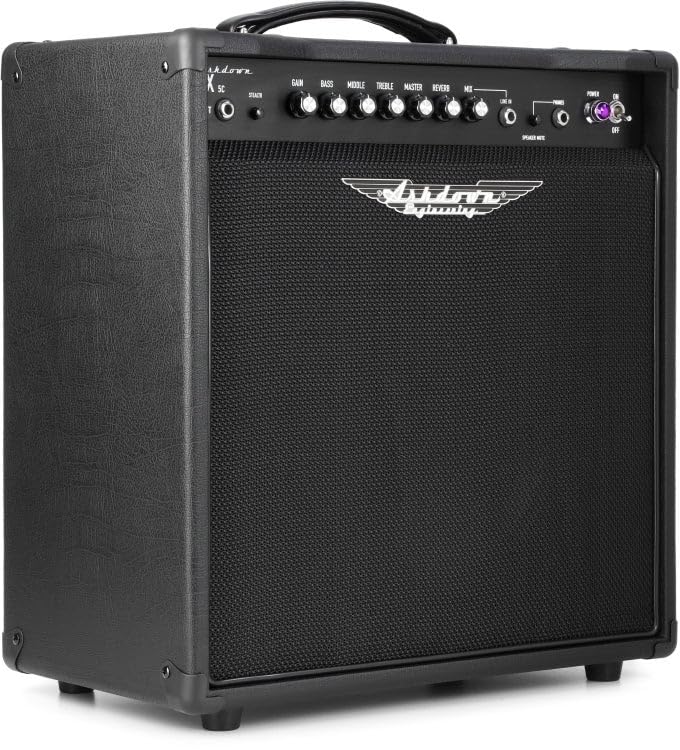 Monta un cono da 12″ Celestion che assicura presenza sonora e definizione, anche a volumi contenuti.