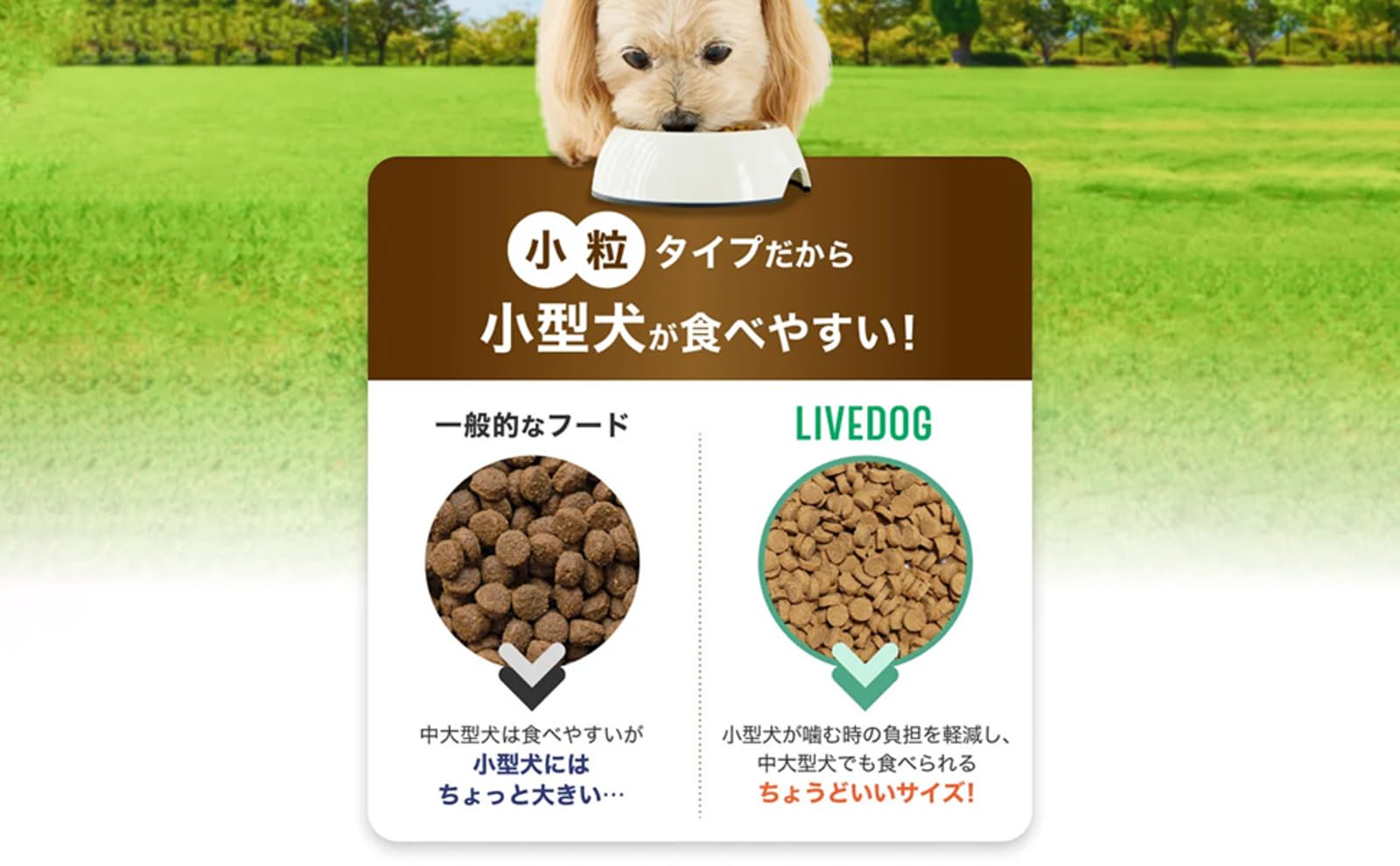 Amazon.co.jp: LIVEDOG 1.5kg リブドッグ 獣医推奨 ノンオイル