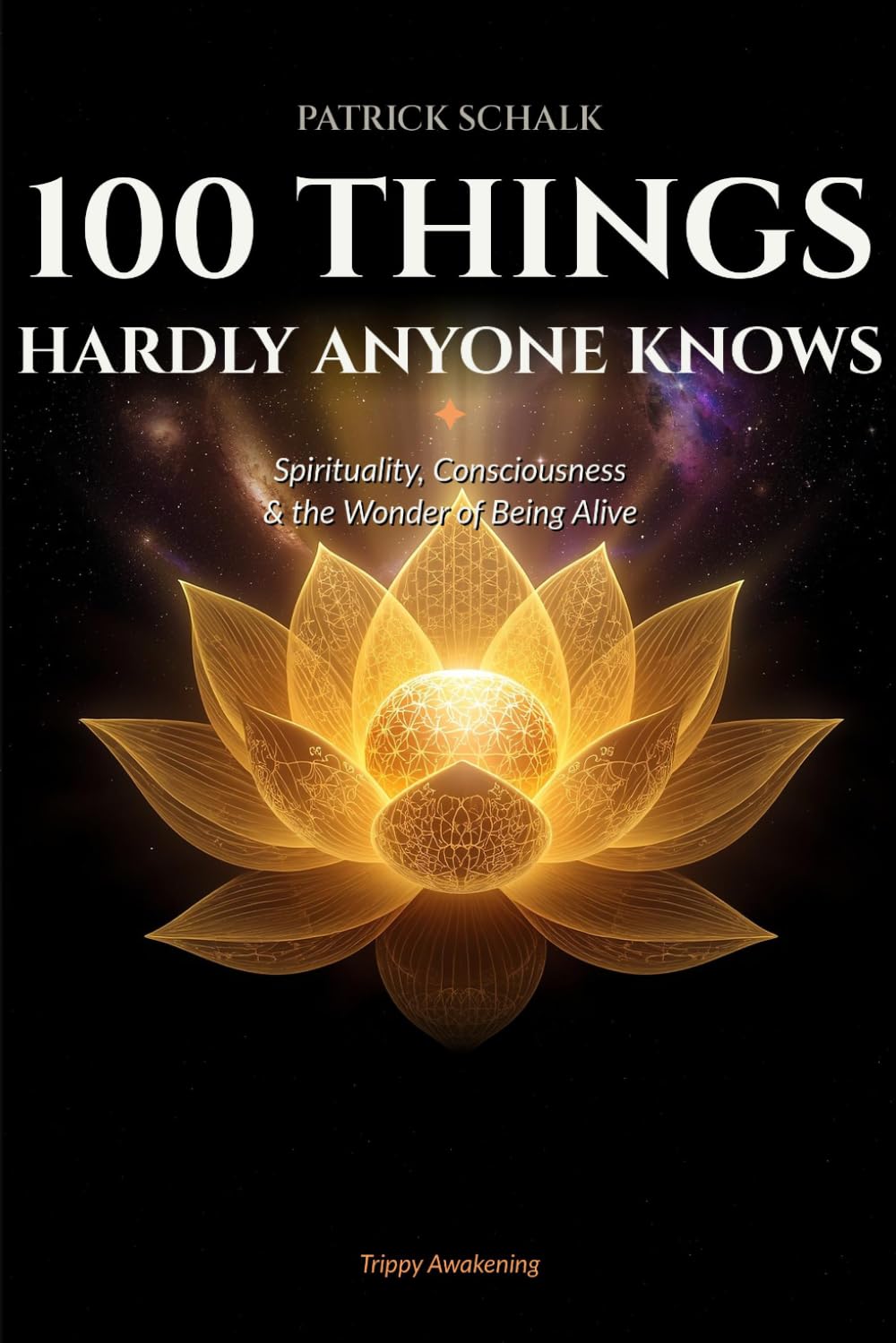 100 Things Hardly Anyone Knows: Spirituality, Consciousness & the Wonder of Being Alive