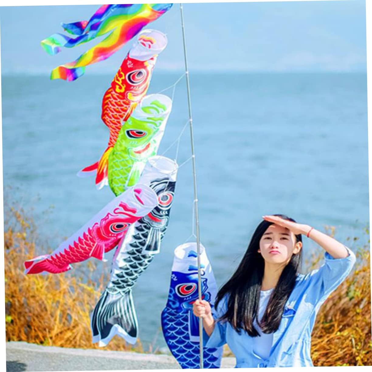 HANABASS 10pcs Blank Carp Windsock Boys and Girls Hanging Ornament for Creative Art Lightweight Japanese Decor for Easy to Clean Position for Outdoor Use