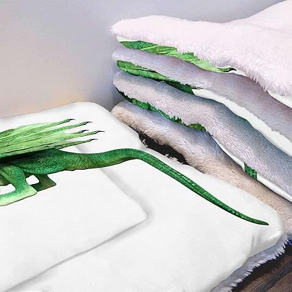 Review White Green Thermal Pet Mat Bed Liner Ugly Dragon Legacy Overlord Dragon Machine Washable Pad Pet Sleeping Mat for Dogs Cats Animal 14″ x 18″ Review White Green Thermal Pet Mat Bed Liner Ugly Dragon Legacy Overlord Dragon Machine Washable Pad Pet Sleeping Mat for Dogs Cats Animal 14″ x 18″