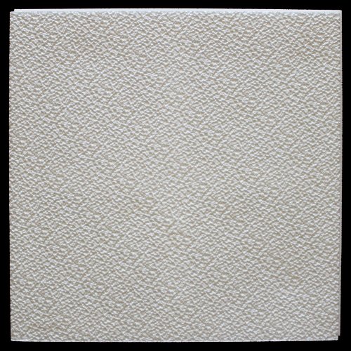 1 M2 de techo placas de poliestireno placas decoración 50 x 50 cm placa de techo de estuco, 2 GRYS