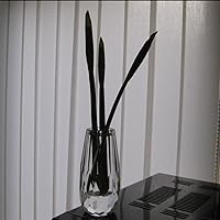 Vista 3 de Mini jarrón decorativo de flores de cristal para el hogar o mesa de comedor, dimensiones de 2.4 x 4.7 pulgadas con caja de regalo