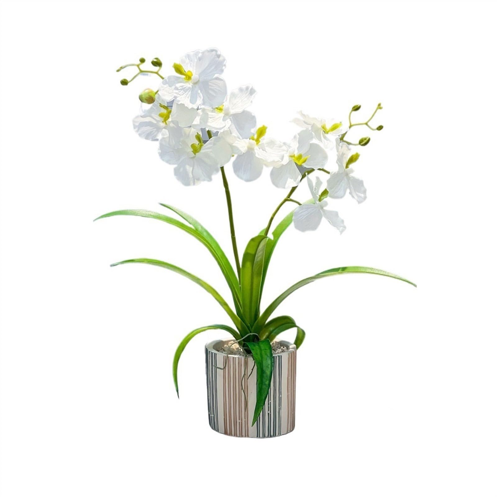 Fleurs artificielles de haute qualité : orchidées papillon d'exception en vase