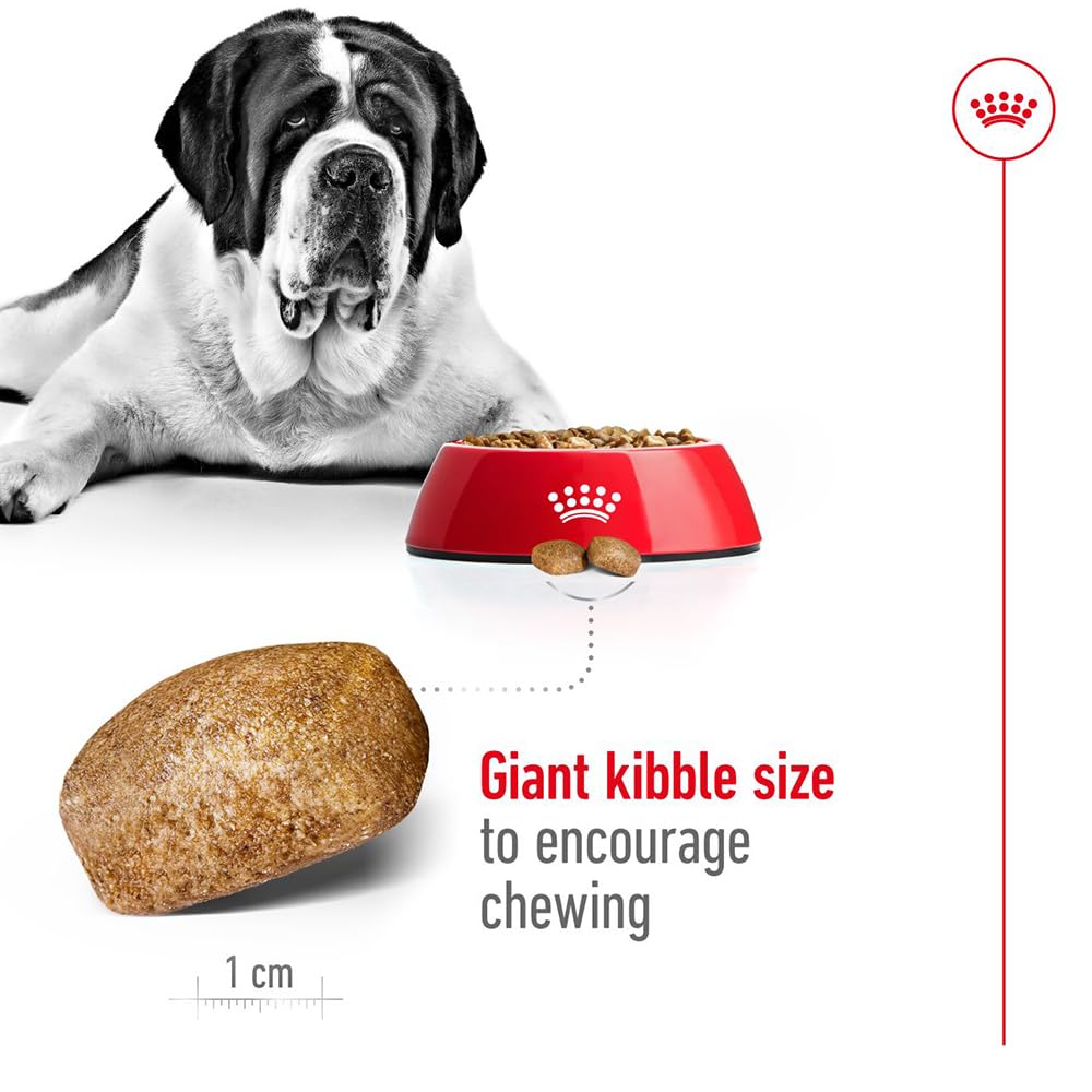 Royal Canin Giant Adult Karma dla Psa, 15 kg