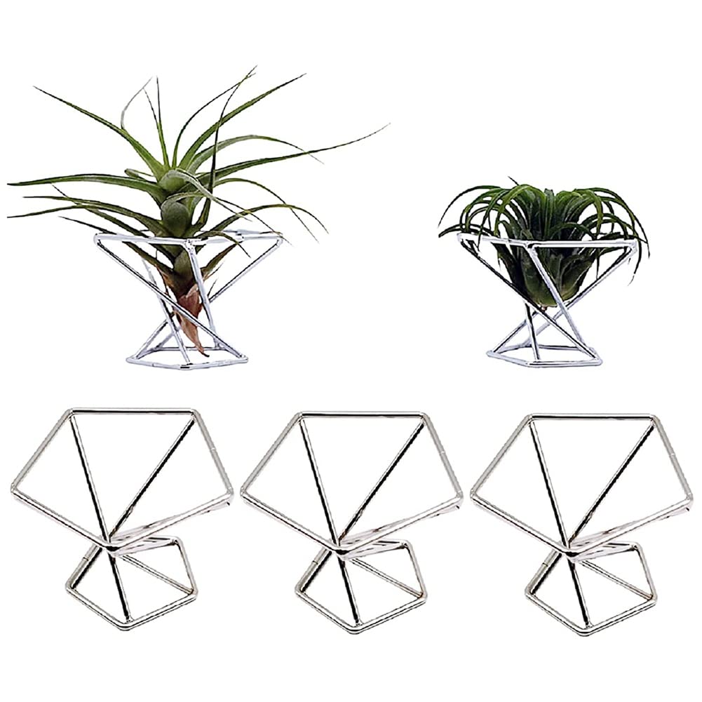 jiyaohui Pack 5 Air Plant Holder Air Plants Holders Tillandsias Display Air Purifying Plant Container Air Fern Stand, Silver