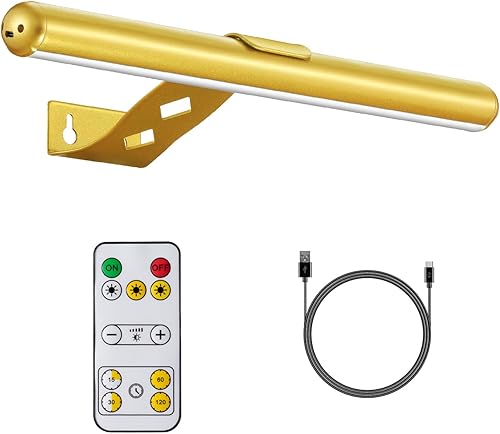 VIGMOJ Luz de imagen inalámbrica funciona con pilas, luz de pintura recargable con control remoto, lámpara de exhibición de luz de arte de metal, 3