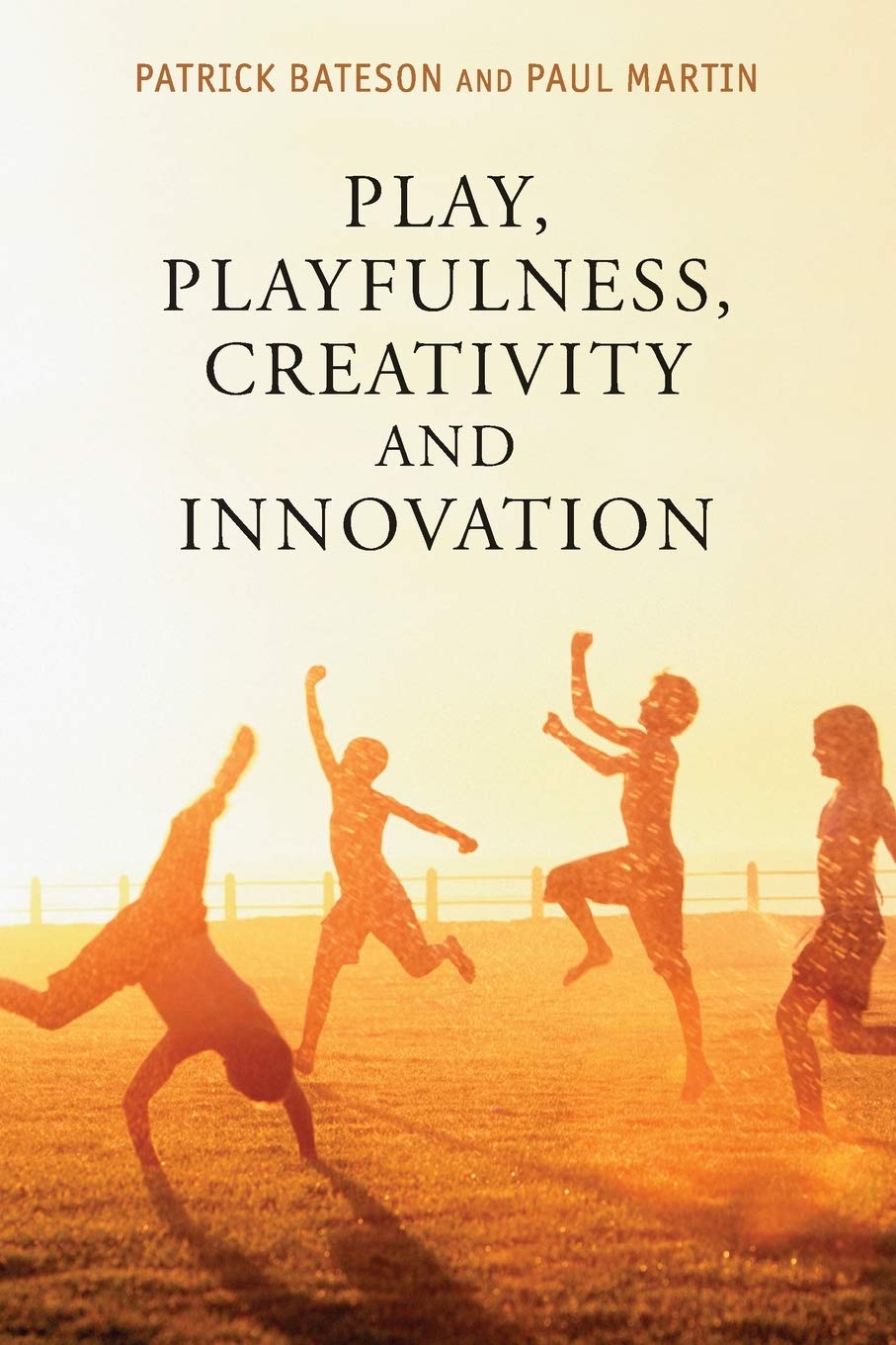 Play, Playfulness, Creativity and Innovation Illustrated Edition