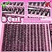 ALICE Cluster Eyelash Extensions 336pcs 50D Lash Clusters DIY Lash Extensions Wispy Faux Mink Eyelash Clusters Mix 8-16mm D-Curly Individual Lashes