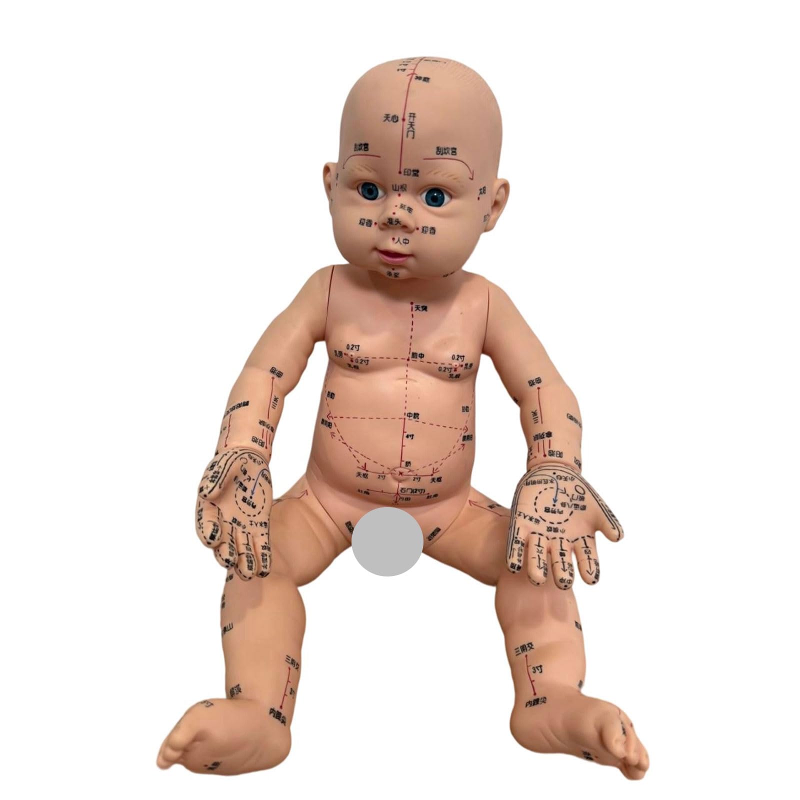 Modello di allenamento professionale per neonati con punti di agopuntura contrassegnati per la formazione nella cura dei neonati e la cura domestica, modello di massaggio pediatrico
