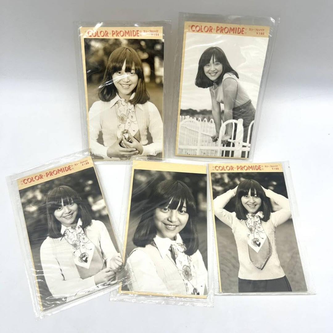 レア 未使用 岩崎宏美 マルベル堂 ブロマイド 写真 昭和 アイドル タレント レア 未使用 岩崎宏美 マルベル堂 ブロマイド 写真 昭和 アイドル