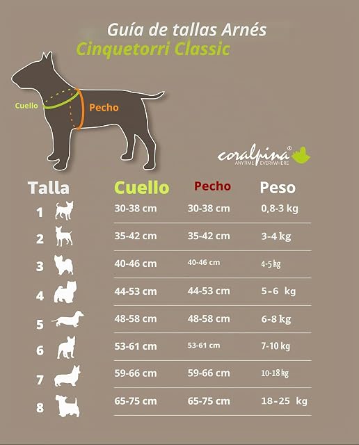 Foto 3 de 7 de Coralpina Arnés Cinquetorri Turquesa, Talla 2 (25-35 cm)