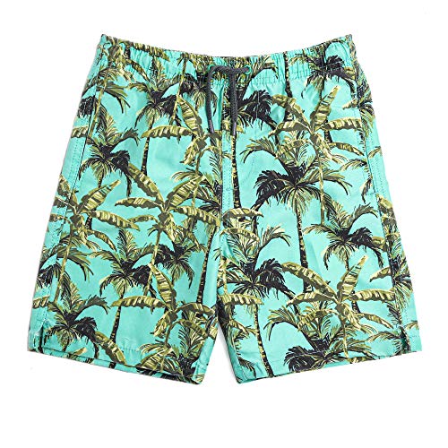 INGEAR Boys Swim Trunks - UPF 50+, Quick Dry Boys Bathing Suit, Beach Shorts, Swimsuit and Swimwear Trunks - Sizes 2T-14 (Paml Trees, 4/5)