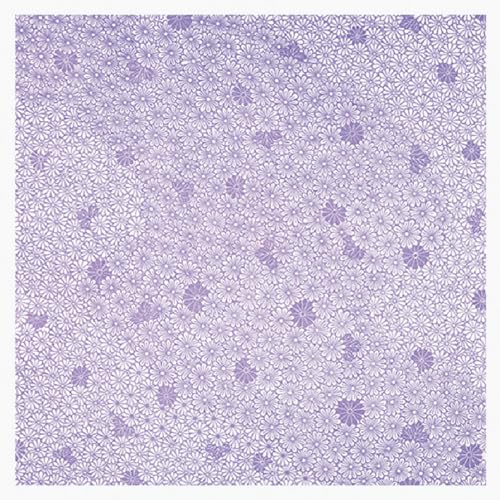 sDzC~ AJg 660×660o e 20