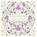 The Flower Fairies Coloring Book