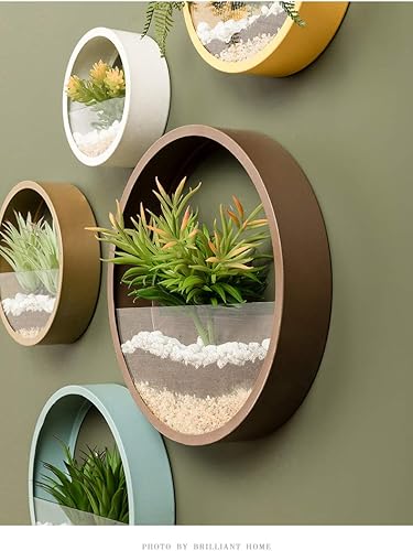 Miniatura 6 de Ecosides - Juego de 3 macetas redondas para colgar en pared, terrario para suculentas, contenedor con soporte de montaje independiente de metal,