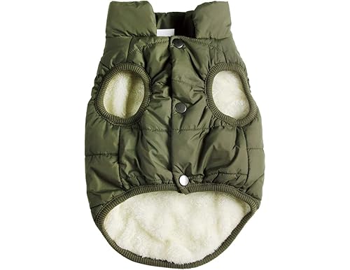Best Puffer Jackets for Dogs [Explore the Top 10 Options [2023-2024] ]