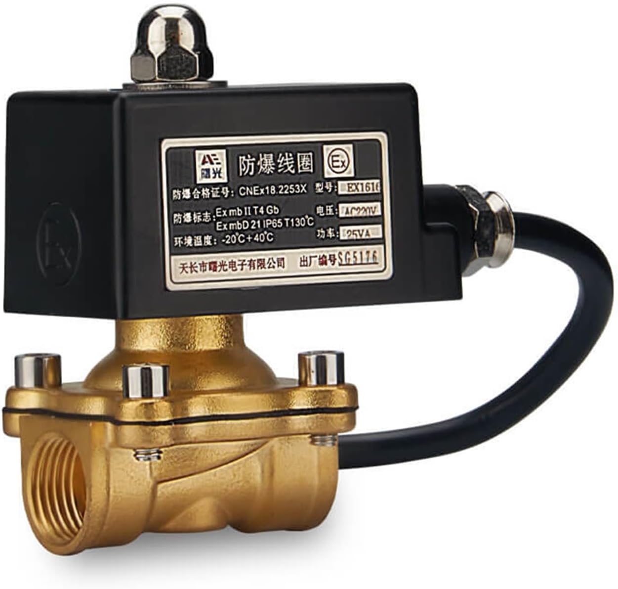 特大❗】明治時代 印判 銅版転写 みじん唐草 裏 たこ唐草 径46.4cm大皿