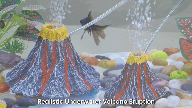 Amazon.com: Moonorange Aquarium Air Bubbler Decoration Kit, Fish